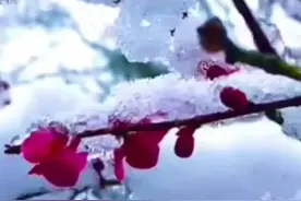 伟大的爱情图片