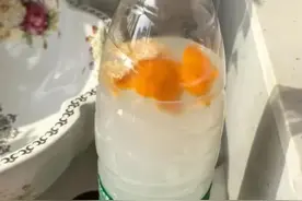 高手养花，从不买营养液，自制5种“肥水”，不比买的花肥差图片