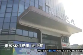 凑个热闹挺心动, “谁收费谁小狗”？图片
