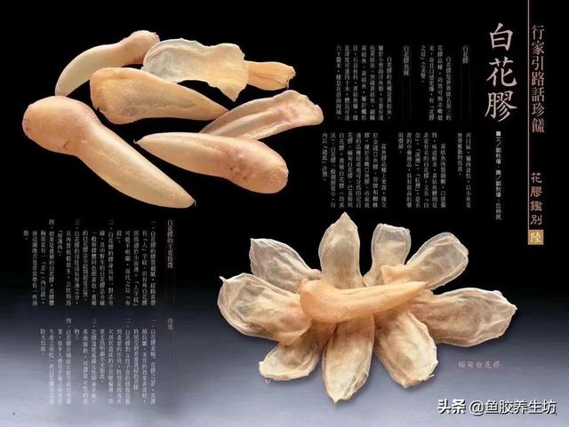 白花胶有什么功效与作用 白花胶有什么功效与作用图片