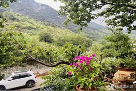 四级核心词汇及高频词汇表图片