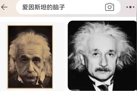 观察 | 从买“脑子”到找树洞 情绪生意为啥火？图片