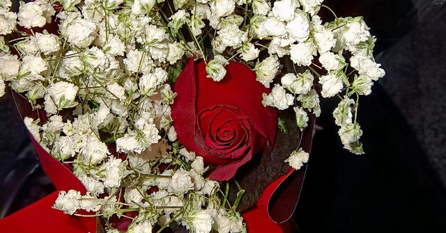 鸡皮疙瘩2美国电影迅雷下载迅雷下载