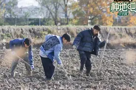 《种地吧》：一群年轻人不拿通告费，花190天只做种地这件事图片
