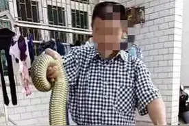 这才是不出手则已，一出手必能抓个好几斤的大蛇图片