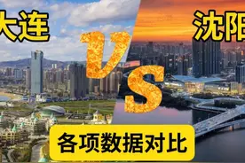 沈阳和大连都住过，说句实话，两座城相比，沈阳还是比大连好多了图片