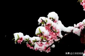 河南多地现罕见雷打雪，俗话说：“雷打雪，人吃铁”，究竟咋回事图片