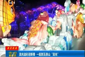 【视频】流光溢彩迎新春 一起到玉泉山“追光”图片