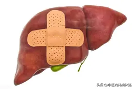 百病之源，根在肝脏，三个中成药，清肝热、解肝郁、肝好身体好图片