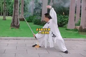 大家要的武当龙形剑1、2段正面演练来了，喜欢的请收藏！