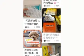 明明土霉素和庆大就能治好的细小，宠物医院凭啥收我几千块？图片