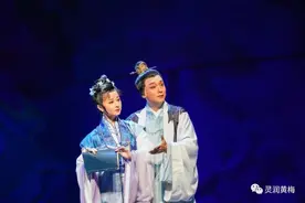 黄梅新开伢梅院军入围第31届梅花奖终评竞演！图片