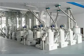 大米加工厂可行性研究报告范本，高端大米行业研究报告图片