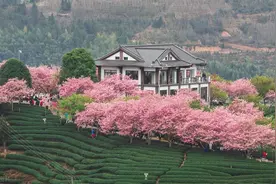 福建最落后的4个市，莆田市上榜，南平市垫底，房价均在万元以上图片
