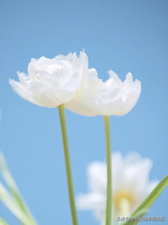 ʺϷȦĸɾİ