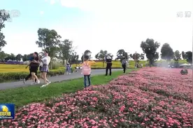 「走进县城看发展」云南弥勒：打造文旅融合发展新型城镇图片