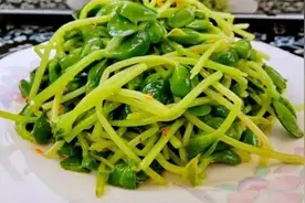 豌豆苗最好吃的4种做法，鲜香入味又营养，开胃下饭，没肉也特香图片
