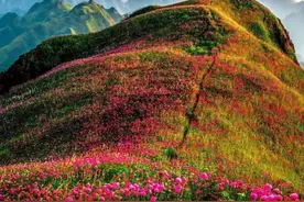 乌蒙大草原图片