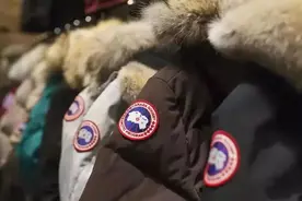 豫论场丨“加拿大鹅”事件：满满的双标，浓浓的恶意图片