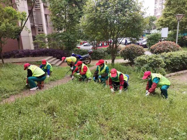 东湖新技术开发区豹澥街分类专班黄金堂社区开展清洁家园活动