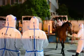 套马的汉子你威武雄壮图片