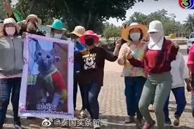 猫主人为寻爱猫前往神庙跳舞祈福后，小猫自己回来了图片