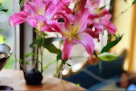人生难料,世事无常,惟愿安好图片