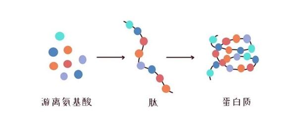 氨基酸水解奶粉有营养吗？健康宝宝不建议使用