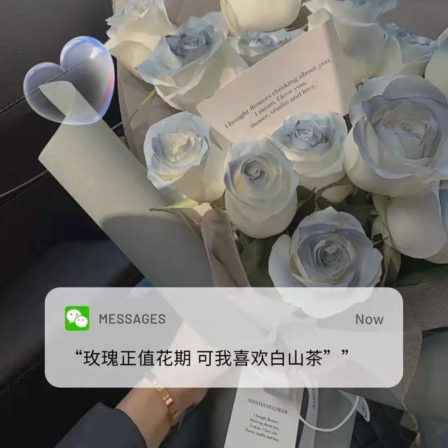 破防的文案,谁能不爱?