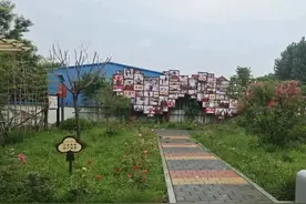 美得别有洞天！淄博这里建成5处公园！图片