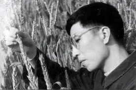 一周好文 | 中国小麦远缘杂交之父；科学家精神；鲸鱼搁浅；人工智能；好文不迷路图片