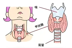 甲功三项、五项、七项到底该怎么选?一次性给你说清楚!图片