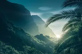 一旦发生战争，人们的反应大不同。图片