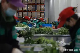 “邮局咖啡”将被打造连锁品牌；安能被纳入恒生综合指数；顺丰又一架货机入列......图片