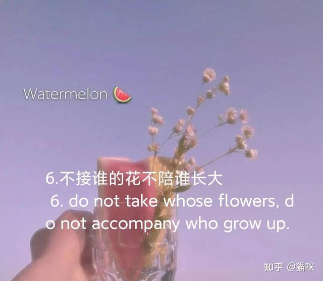 朋友圈文案|温柔美好的小句子|中英