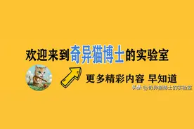 为什么很多女生对男生的“身高”都特别在意？图片
