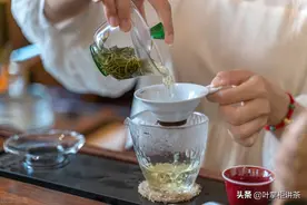 安吉白茶、奶白茶和黄金叶，傻傻分不清楚？教你如何区分图片