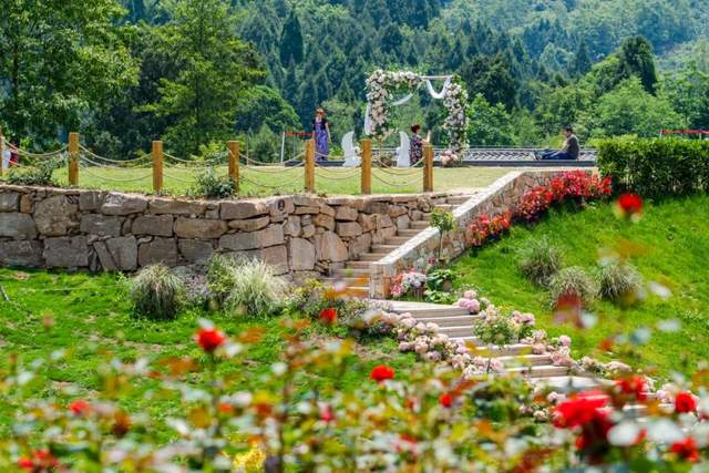 四川省民生研究会新媒体中心-官网