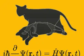 薛定谔的猫：物理学史上最怪诞的思想实验图片