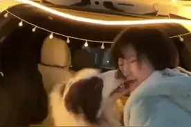 长相酷似毛晓彤女子在夜市与陌生宠物狗贴脸，脸被咬伤，恐已毁容图片