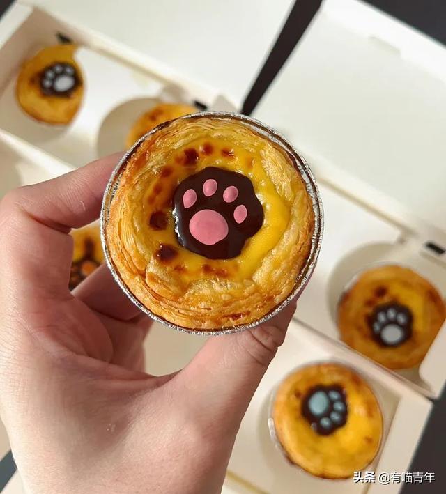 买到一盒肯德基猫爪蛋挞,我当场气死