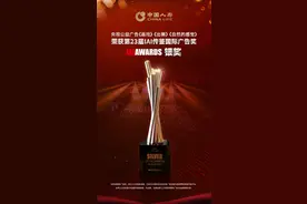 描绘公益画卷，中国人寿寿险公司荣获第23届 IAI 传鉴国际广告奖图片