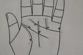 手纹 掌纹的形成图片