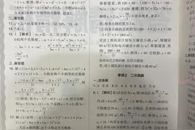 王朝霞河南专版九年级上数学答案，给需要的小伙伴图片