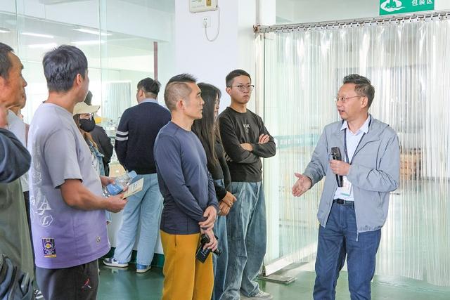 2025中国南酸枣之乡旅游音乐文化节暨齐云山登山节圆满收官