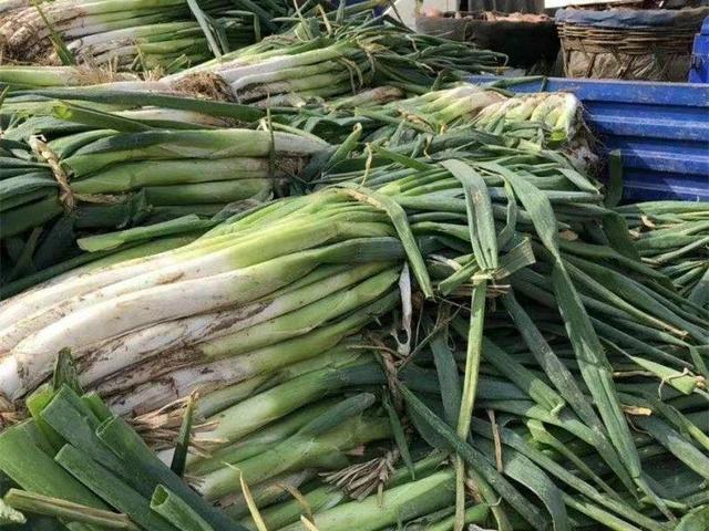 冬天，需要囤的“6大蔬菜”排行，萝卜排第2，家里有菜心中不慌
