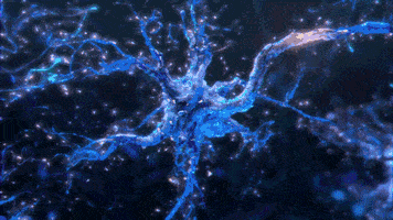鐑圭叜閮芥潃涓嶆鐨勬湂鐥呮瘨锛岃嚧姝荤巼100%鏃犺嵂鍙晳锛佹劅鏌撳悗鏈夊鎭愭€栵紵