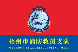 梧州市消防救援支队举行“西江蛟龙”救援专业队授旗仪式图片
