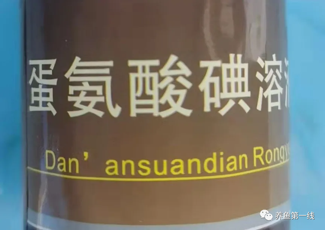 简析疑难杂症——鱼类败血症的防控：难治的集多症状于一身的鱼病