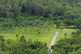 老年人为什么吃食时容易呛，甚至喝水都会呛怎么回事？图片